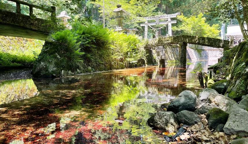 水池可看到瀕臨絕種的紅藻